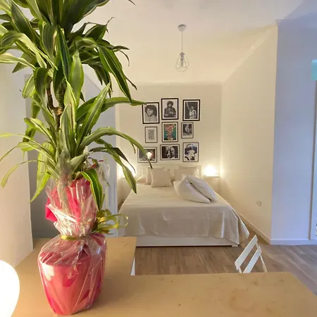 Rhomestudio01 Appartement